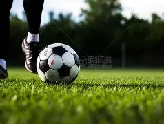 浓眉哥伤退,詹姆斯贡献,三双,好博体育官网,HaoBo,SPORTS,好博体育中国官网,HaoBo体育平台,好博体育服务