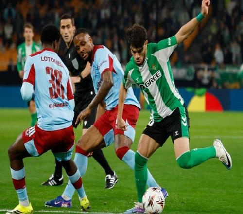 势如破竹,连胜八场,普埃骑卢再,好博体育官网,HaoBo,SPORTS,好博体育中国官网,HaoBo体育平台,好博体育服务