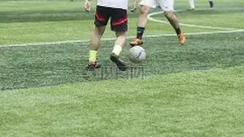 张伟丽草量级女子三冠辉煌，再续荣耀传奇2025-02-10